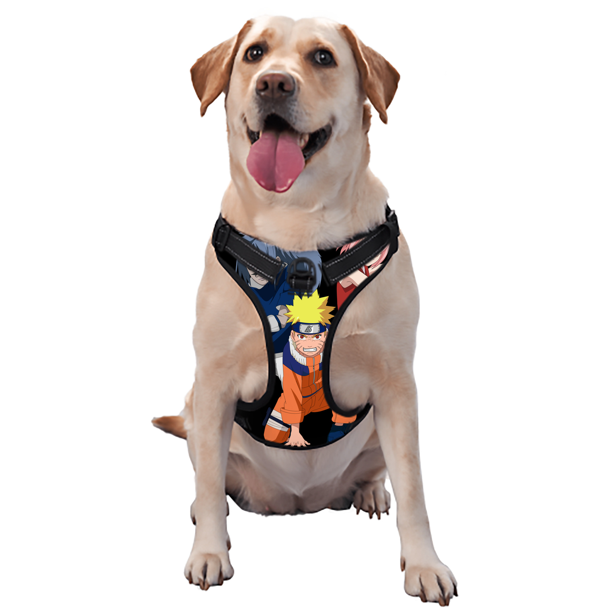 （画像用） NARUTO -ナルト- うずまき ナルト Uzumaki Naruto ペット用ハーネス